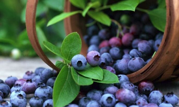 Blueberries are a popular fruit that effectively improve eyesight. 